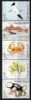 Frankeerzegels Nederland Nvph nr.3550-3554 Postfris