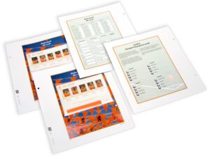 Luxe bladen Nederland EK zegels 08 (5 velletjes)