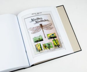 Luxe supplement Belgie Buzin 2018