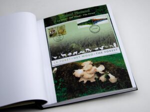 Luxe supplement Belgie Extra Finland (2011)