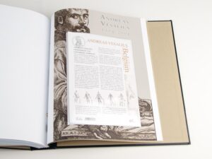 Luxe supplement Belgie Extra Portugal (2014)