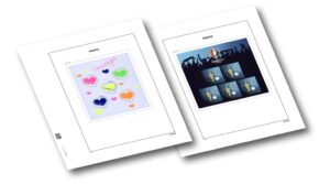 Luxe supplement Frankrijk Euro & Courrege 2016