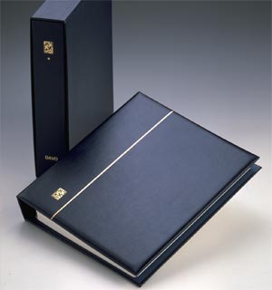 Luxe kosmos band neutraal (1250)