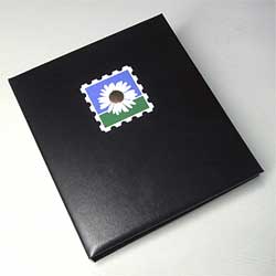 Luxe kosmos band bloemen