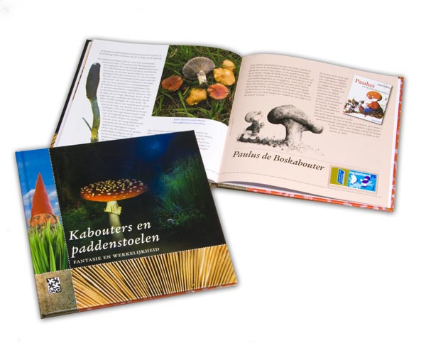 Thema-boek Kabouters en paddenstoelen (nummer 22)